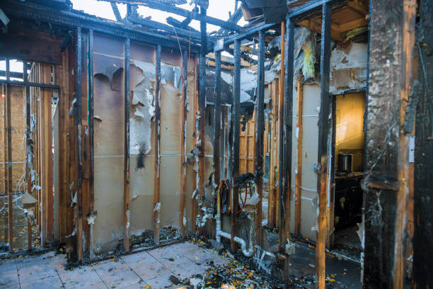 Professional Fire Damage Repair technician working in Ridgeway, AK